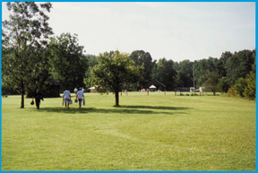 Storybook Field